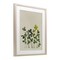 Stupell Industries Hidden Gems Botanicals Framed Print Under Glass, design by Grace Popp
